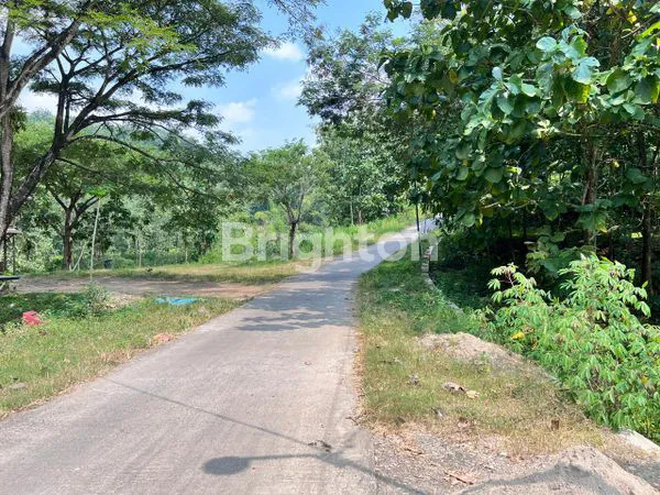 image TANAH LUAS MUURAH JUAL CEPAT (3)