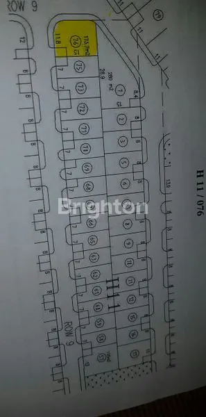image KAV. PALMA CLASSICA CITRALAND (1)