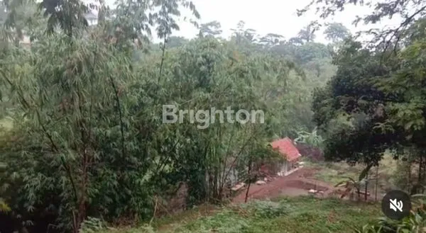 image TANAH PERTANIAN DAN PERKEBUNAN DIJUAL LOKASI CIOMAS COCOK UNTUK INVESTASI (3)