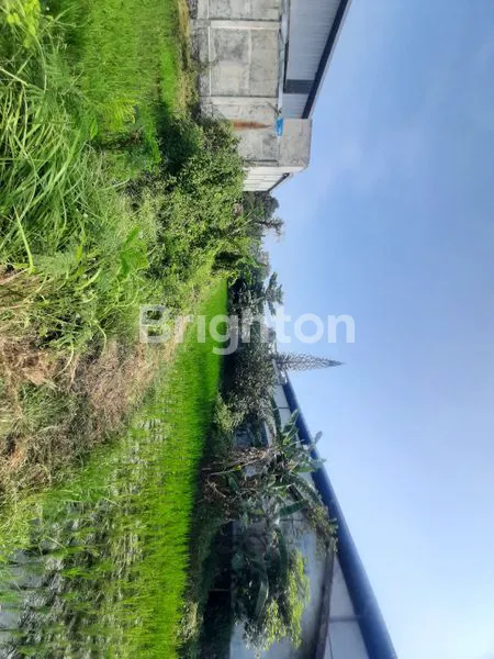 TANAH MURAH DI BLIMBING