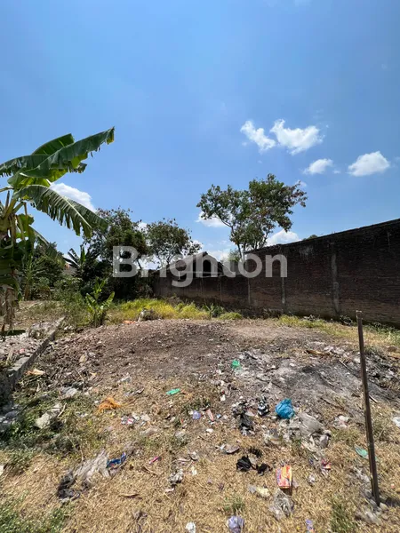 image TANAH UNTUK KOS DAN USAHA DI LINGKUNGAN PABRIK TASIKMADU KARANGANYAR (3)