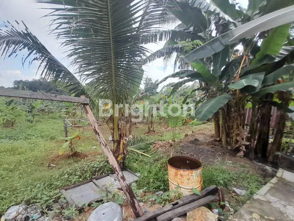 image DIJUAL TANAH/LAHAN PINGGIR JALAN POROS  SOEKARNO HATTA KILOMETER 9,5 MASUK 50 M KEDALAM  COCOK DIBUAT GUDANG, WORKSHOP KOS KOSAN DAN KONTRAKAN   (3)