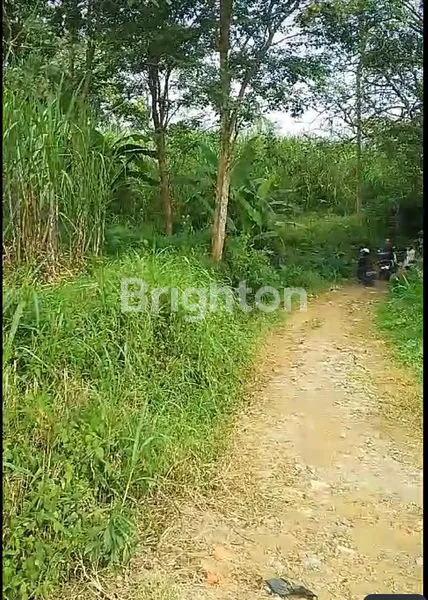 image TANAH DI SLAMET TEMBORO CEMOROKANDANG KOTA MALANG (2)