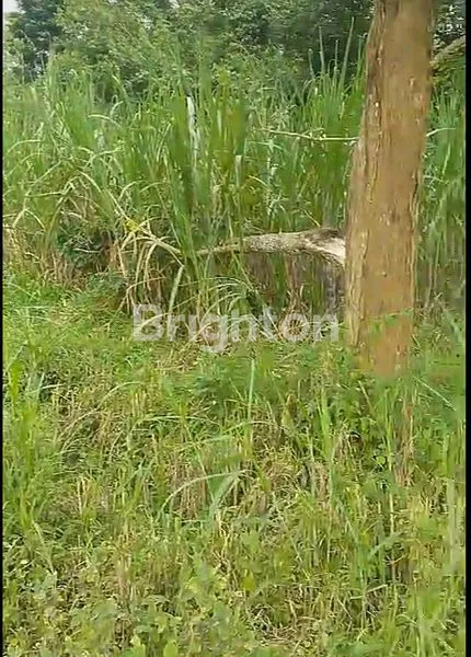 image TANAH DI SLAMET TEMBORO CEMOROKANDANG KOTA MALANG (3)