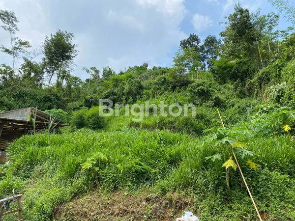 image TANAH LUAS COCOK UTK USAHA SDH SHM DI DAMPIT KAB MALANG (3)