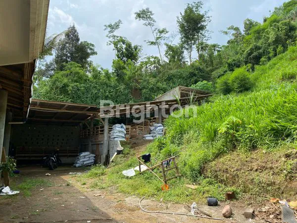 image TANAH LUAS COCOK UTK USAHA SDH SHM DI DAMPIT KAB MALANG (4)