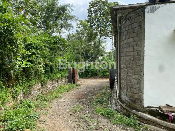 image TANAH LUAS COCOK UTK USAHA SDH SHM DI DAMPIT KAB MALANG (8)