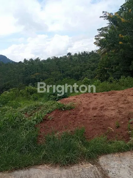 image TANAH 1,5 HEKTAR WAGIR MALANG (1)