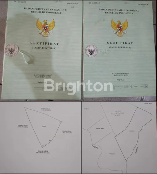 image TANAH SAWAH HAK MILIK 30 ARE TIYINGGADING SELEMADEG BARAT TABANAN (5)