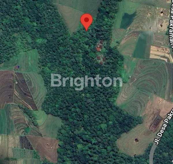 image TANAH KEBUN 26 ARE TIYINGGADING SELEMADEG BARAT TABANAN (2)