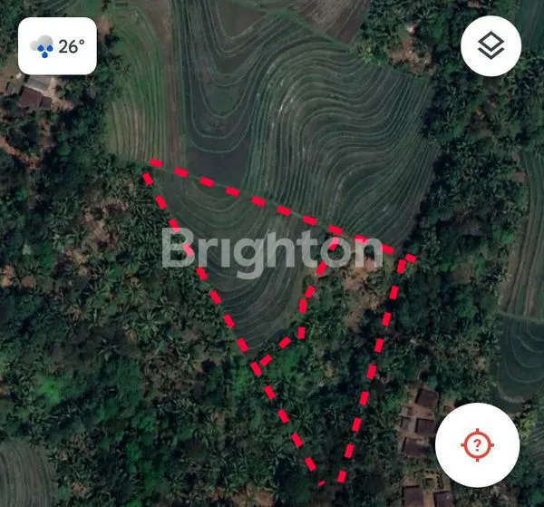image TANAH KEBUN 26 ARE TIYINGGADING SELEMADEG BARAT TABANAN (4)