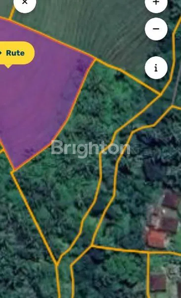 image 2 SERTIFIKAT TANAH SAWAH & KEBUN TIYINGGADING SELEMADEG BARAT TABANAN (2)