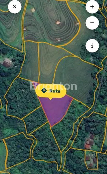 image 2 SERTIFIKAT TANAH SAWAH & KEBUN TIYINGGADING SELEMADEG BARAT TABANAN (3)