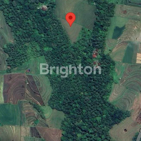 image 2 SERTIFIKAT TANAH SAWAH & KEBUN TIYINGGADING SELEMADEG BARAT TABANAN (5)