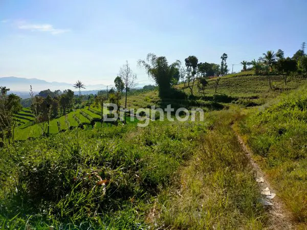 image TANAH DIJUAL SELUAS 2HA LOKASI GARUT (3)