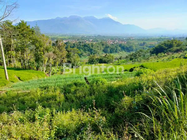 image TANAH DIJUAL SELUAS 2HA LOKASI GARUT (2)