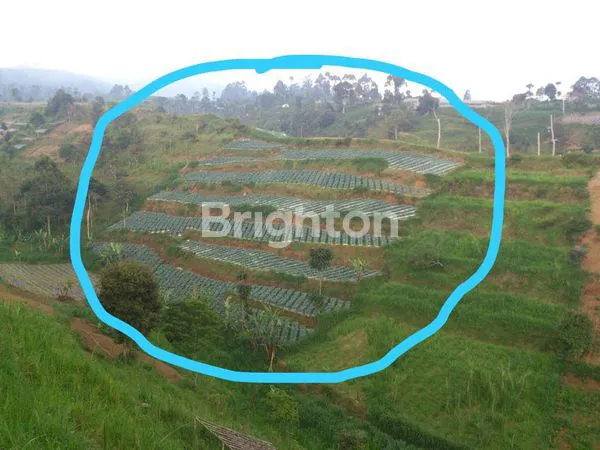 image TANAH CANTIK COCOK UNTUK VILLA DI BANDUNG (1)