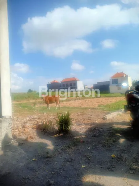 image TANAH MURAH DI KETEWEL (2)