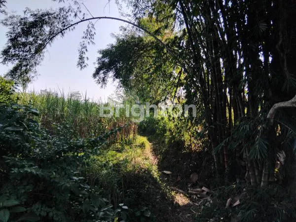 image TANAH DI DENGKOL SINGOSARI MALANG (1)