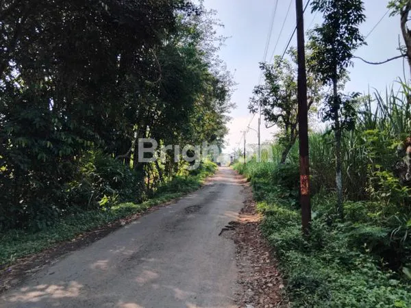 image TANAH DI DENGKOL SINGOSARI MALANG (2)