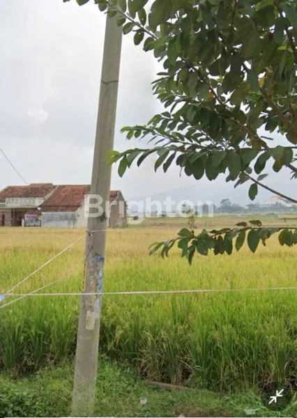 image TANAH SAWAH KOTAK  MINIM URUG 1.307 METER² ,DEKAT GERBANG  TOL  SOREANG  KAB. BANDUNG (3)