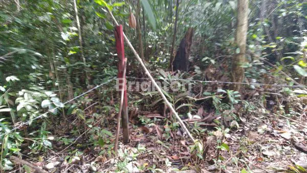 DIJUAL TANAH DI KAWASAN INDUSTRI KARIANGAU, BALIKPAPAN