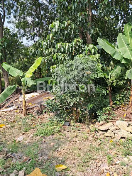 image DI JUAL TANAH KAVLING  (1)