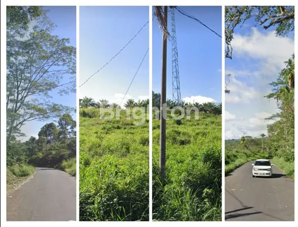 image TANAH AREA BENGKULU (3)