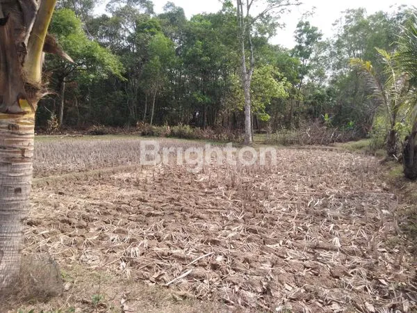 image KAVLING INDUSTRI, MABES MARGASARI, TANGERANG SIAP BANGUN (1)