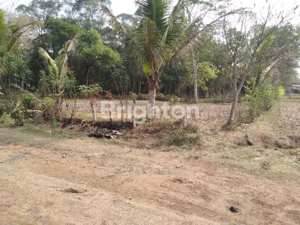 image KAVLING INDUSTRI, MABES MARGASARI, TANGERANG SIAP BANGUN (2)