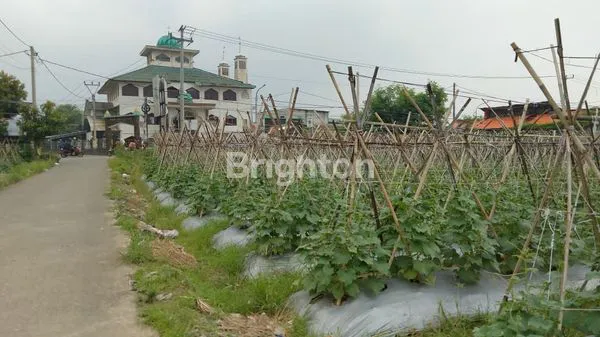 TANAH LAHAN KOSONG STRATEGIS DI KELILINGI PERUMAHAN DAN PERKAMPUNGAN COCOK BUAT USAHA TOKO BANGUNAN DI JALAN SWADAYA LINGKAR LALADON CIOMAS DRAMAGA BOGOR