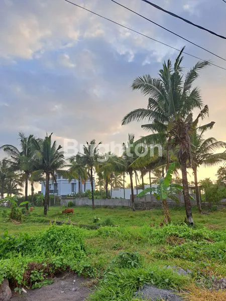 image BEACH FRONT TANAH LANGSUNG PINGGIR PANTAI  PASUT DI TABANAN BALI (1)