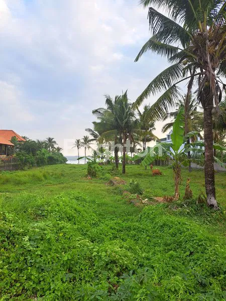 image BEACH FRONT TANAH LANGSUNG PINGGIR PANTAI  PASUT DI TABANAN BALI (6)