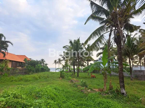 image BEACH FRONT TANAH LANGSUNG PINGGIR PANTAI  PASUT DI TABANAN BALI (7)