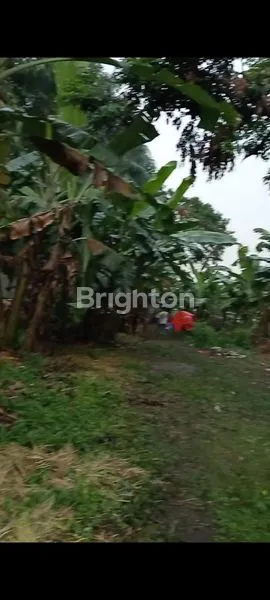 LAHAN KOSONG DI LEUWINANGGUNG