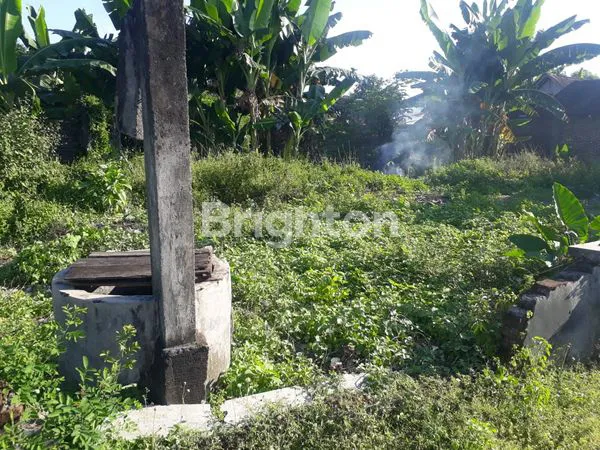 image TANAH PEKARANGAN LUAS DI SUKOHARJO KOTA (4)