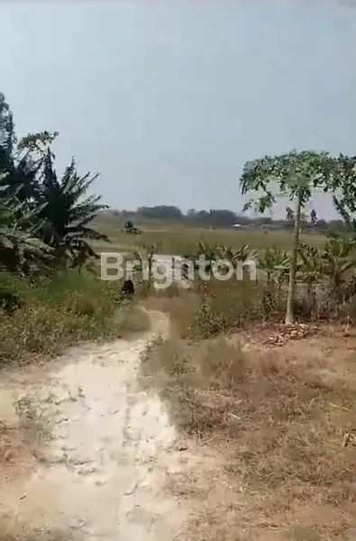 TANAH KOSONG LOKASI STRATEGIS SAMPING KAWASAN ICC ATAU KAWASAN KIM KARAWANG