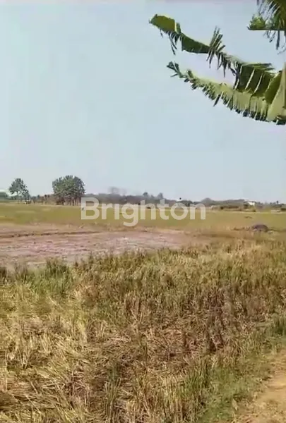 image TANAH KOSONG LOKASI STRATEGIS SAMPING KAWASAN ICC ATAU KAWASAN KIM KARAWANG (3)