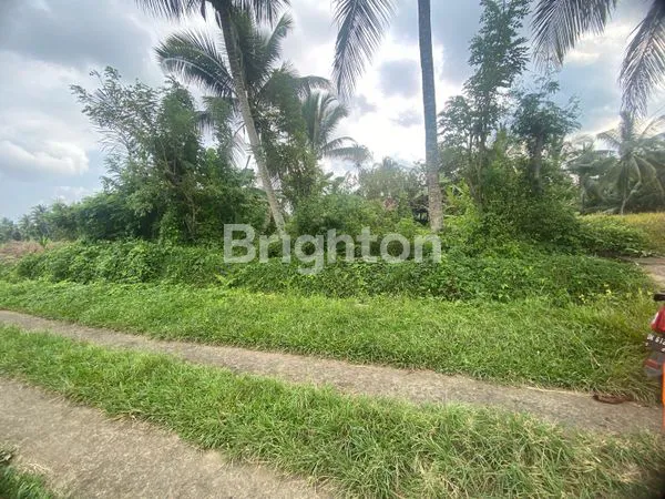 image TANAH MURAH DI MARGA TABANAN (2)