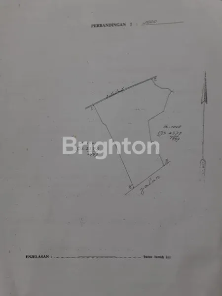 image LAHAN DI PINGGIR JALAN IB MANTRA (1)