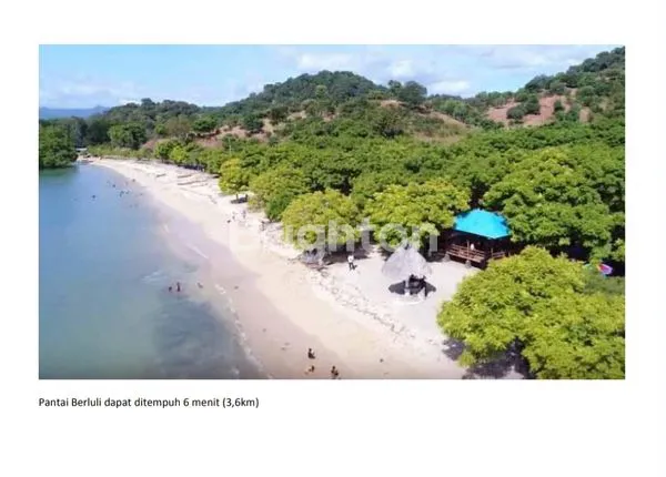 image DIJUAL TANAH NUL JALAN NASIONAL TRANS LAKAFEHAN NTT (1)