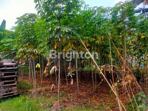 image TANAH DATAR DAN LUAS SIAP DI BANGUN DI JATIRANGGA  (5)