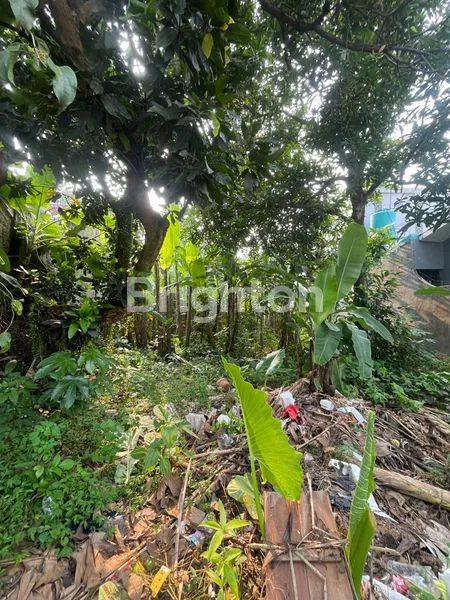 image TANAH AREA JAGAKARSA (3)