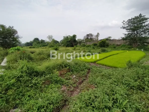 image TANAH LUAS 14.339 M² LOKASI STRATEGIS – DUKUHSARI, SUKOREJO PASURUAN (SHM, DEPAN 70 METER)  (1)