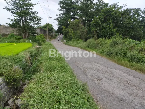 image TANAH LUAS 14.339 M² LOKASI STRATEGIS – DUKUHSARI, SUKOREJO PASURUAN (SHM, DEPAN 70 METER)  (2)