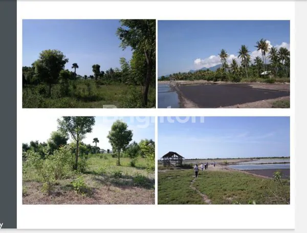 image TANAH BULELENG BALI (1)