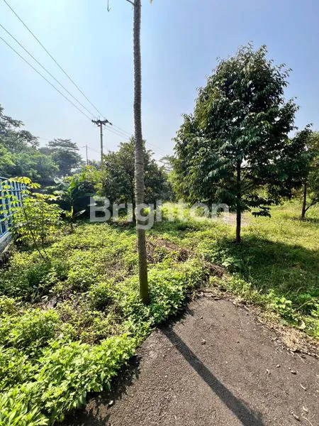 image TANAH LOKASI STRATEGIS DI JALAN RAYA (3)