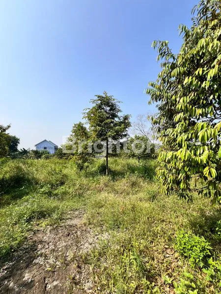 image TANAH LOKASI STRATEGIS DI JALAN RAYA (5)