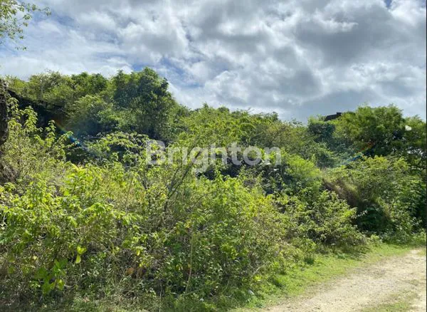 image TANAH DIJUAL STRATEGIS DIBAWAH NJOP DI JIMBARAN KUTA BALI DEKAT GWK DAN JL RAYA KAMPUS UDAYANA COCOK  UNTUK VILLA, RUMAH DAN KOS-KOSAN (2)