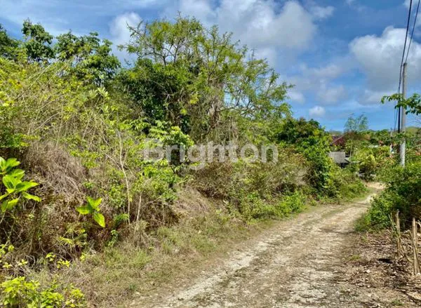 image TANAH DIJUAL STRATEGIS DIBAWAH NJOP DI JIMBARAN KUTA BALI DEKAT GWK DAN JL RAYA KAMPUS UDAYANA COCOK  UNTUK VILLA, RUMAH DAN KOS-KOSAN (1)